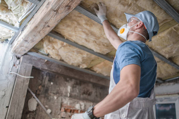 Best Insulation Maintenance and Repair in Lusk, WY